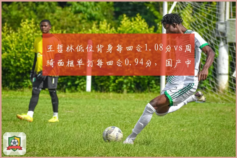 王哲林低位背身每回合1.08分vs周琦面框单打每回合0.94分,国产中锋进攻方式选择__br_