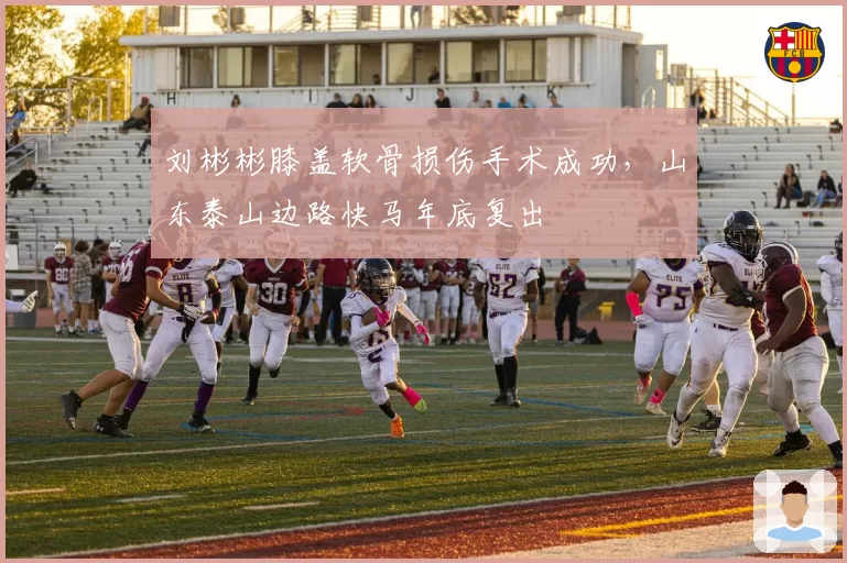 刘彬彬膝盖软骨损伤手术成功，山东泰山边路快马年底复出