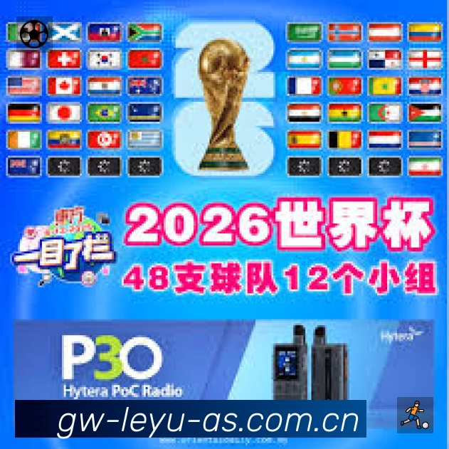 安全使用与支持流程